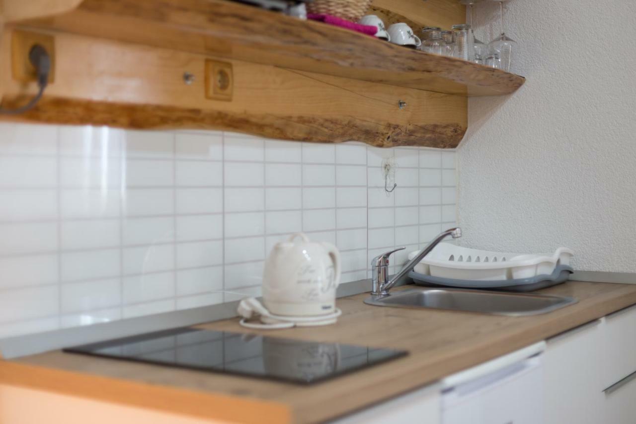 Studio Apartments Plitvice Lacus 科雷尼察 外观 照片